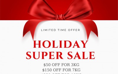 Christmas Sale 2025